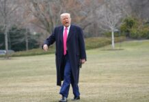 How Border Crisis Challenges Habeas Corpus: Exploring Constitutional Questions
