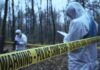 Mysterious Deaths of Campers on Isle Royale National Park: Investigation Underway