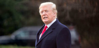 Trump's Greenland Plan Sparks NATO Uproar