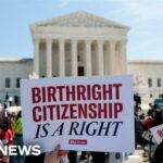 Polls Show Split Public Opinion on Birthright Citizenship as Supreme Court Weighs Executive Authority