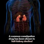 Constipation Drug Shows Promise in Slowing Kidney Disease in Early Clinical Trial