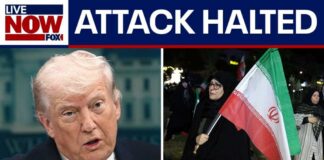 Iran war: US in 'serious negotiations' as Trump calls off attack