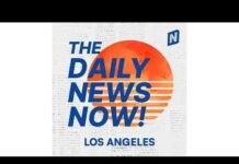 LA Councilmember Proposes Non-Citizen Voting