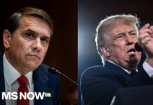 ‘Given up on the idea the AG works for the American people’: Blanche defends $1.8B settlement fund 'Given up on the idea the AG works for the American people': Blanche defends $1.8B settlement fund