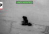 CENTCOM releases video of US strike on Iran after attack on cargo ship