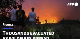 'It's terrible': thousands evacuated from wildfires in southwestern France | AFP