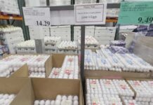 Attorney general announces egg price-fixing settlement