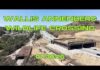 Wallis Annenberg Wildlife Crossing Update (07.30.26)