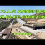 Wallis Annenberg Wildlife Crossing Update (07.30.26)