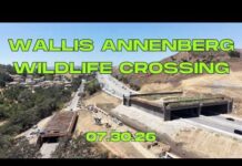 Wallis Annenberg Wildlife Crossing Update (07.30.26)