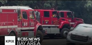 Big Sur evacuations grow as Timber Fire spreads in Monterey County