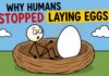 236-Million-Year-Old Fossil May Push Mammalian Live Birth Back 90 Million Years Humans Used To Lay Eggs. Here's Why We Stopped.