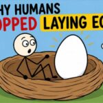 236-Million-Year-Old Fossil May Push Mammalian Live Birth Back 90 Million Years Humans Used To Lay Eggs. Here's Why We Stopped.