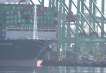 Illinois among half of US states to sue over Trump's new tariffs