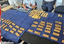 $10M Gold Stash Found Hidden in Brewery Cellar
