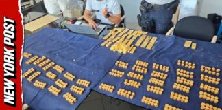 $10M Gold Stash Found Hidden in Brewery Cellar