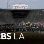 Little League World Series takes stand against online betting on youth games