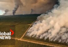 New Studies Say Climate Change Doubled the Odds of Canada’s Record 2023 Wildfire Season Researchers say most Canadian wildfire emissions come from burning soil
