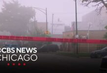 Investigation underway after More than 50 decomposing bodies found at Chicago funeral home Investigation underway after More than 50 decomposing bodies found at Chicago funeral home