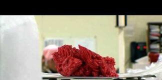 Justice Department expands beef price probe to major grocery retailers