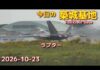 Stealth Raptors Surge Into Japan Stealth Raptors Surge Into Japan