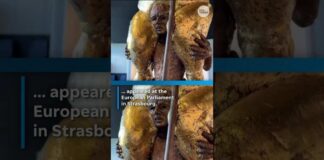 Nude gold Trump statue appears in European Parliament. See the sculpture.