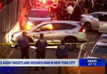 ICE agent shoots, wounds New York City man, protests erupt