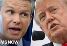 Trump: I ‘absolutely’ approved livestream of firing squad execution 
