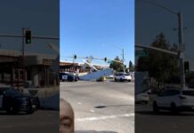 Plane Drops Onto Freeway – Traffic Stunned San Jose Plane Crash on a Busy Street