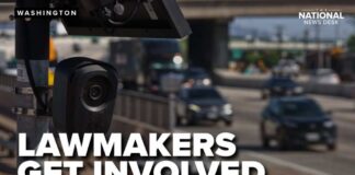 Wrongfully convicted testify: Flock camera controversy