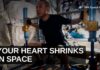 Mars-Ready Hearts? NASA’s Weird Win Astronaut Hearts Shrink in Space: The Fix for a 9-Month Mars Trip