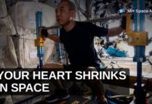 Astronaut Hearts Shrink in Space: The Fix for a 9-Month Mars Trip