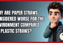 Green Mandates Backfire: Plastic Beats Paper Why Are Paper Straws Considered Worse for the Environment Compared to Plastic Straws?